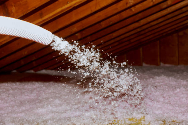 Best Insulation Contractors for Homes  in Jonesville, NC