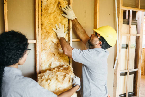 Best Insulation Inspection Services  in Jonesville, NC